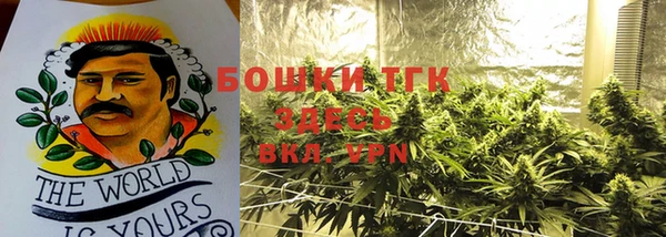 гашик Аркадак