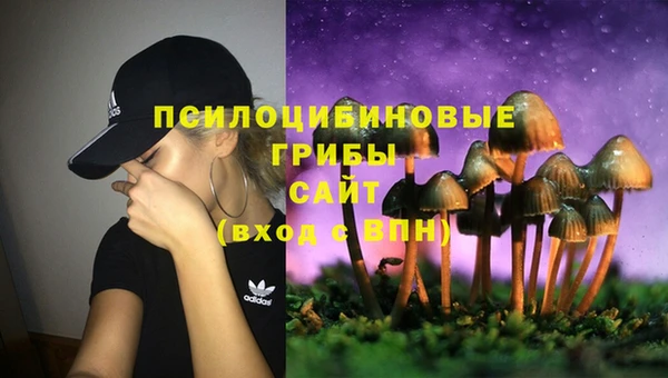 стафф Алексин