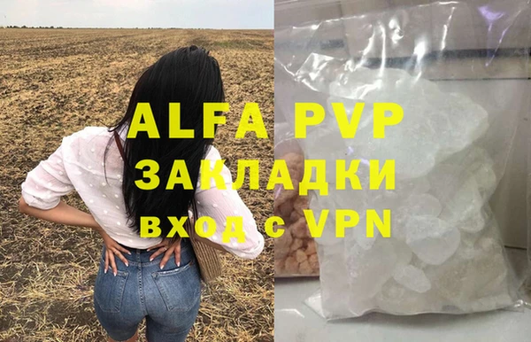 гашик Аркадак